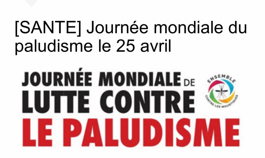 image-13-1024x611 Guinée / Paludisme en Guinée : Un Combat Quotidien pour Sauver des Vies (Par Néné Houdia Baldé).