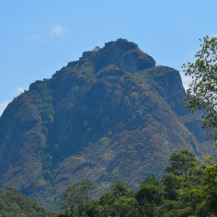 site_1201_0007-750-750-20250703124133 L'UNESCO ajoute des sites du Cameroun et du Malawi à sa liste du patrimoine mondial.