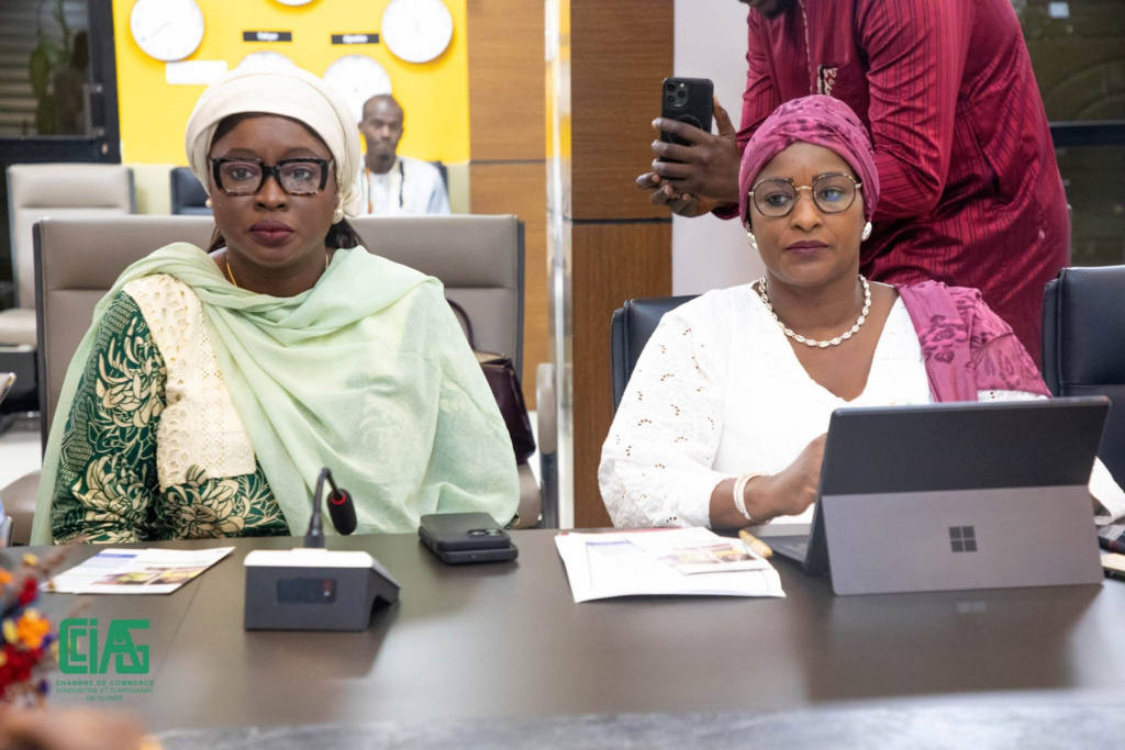 image-132-1024x683 Conakry (Guinée ) : La Ministre de l'Économie, des Finances et du Budget reçoit le Président de la CCIAG.