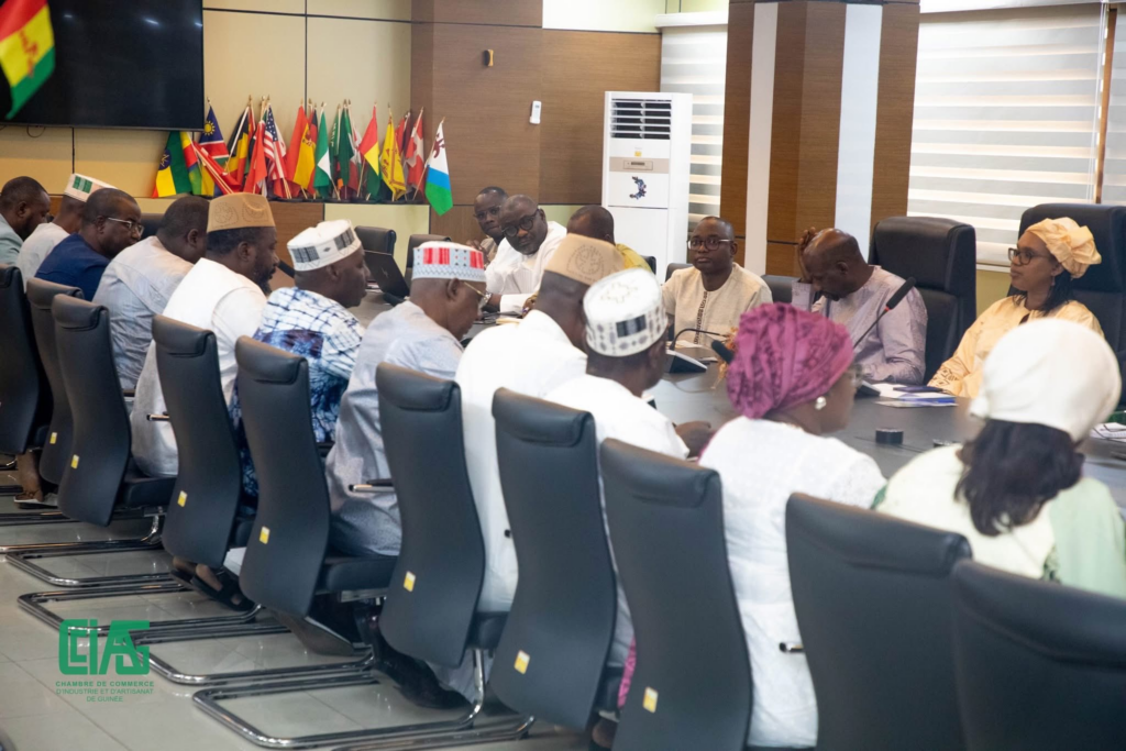 image-133-1024x683 Conakry (Guinée ) : La Ministre de l'Économie, des Finances et du Budget reçoit le Président de la CCIAG.