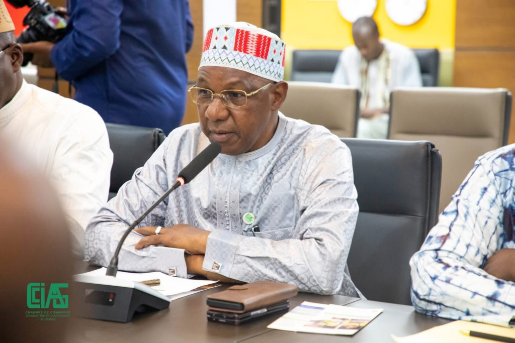 image-134-1024x683 Conakry (Guinée ) : La Ministre de l'Économie, des Finances et du Budget reçoit le Président de la CCIAG.