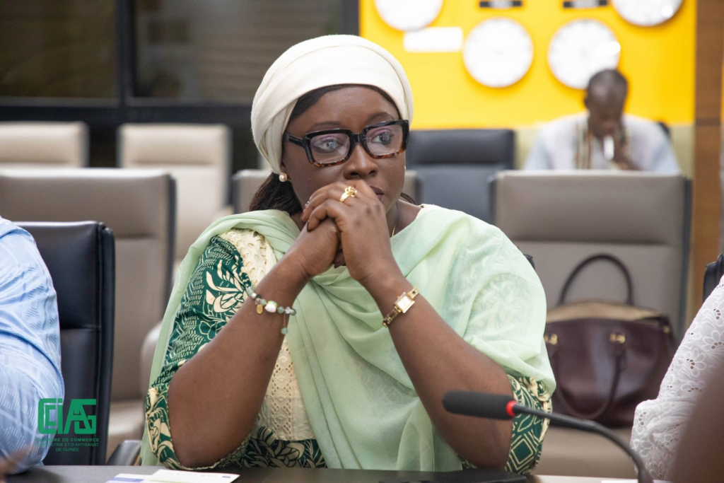 image-135-1024x683 Conakry (Guinée ) : La Ministre de l'Économie, des Finances et du Budget reçoit le Président de la CCIAG.